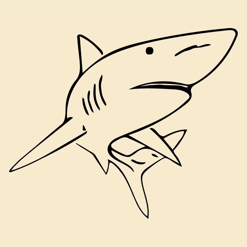 Shark - Vector Design