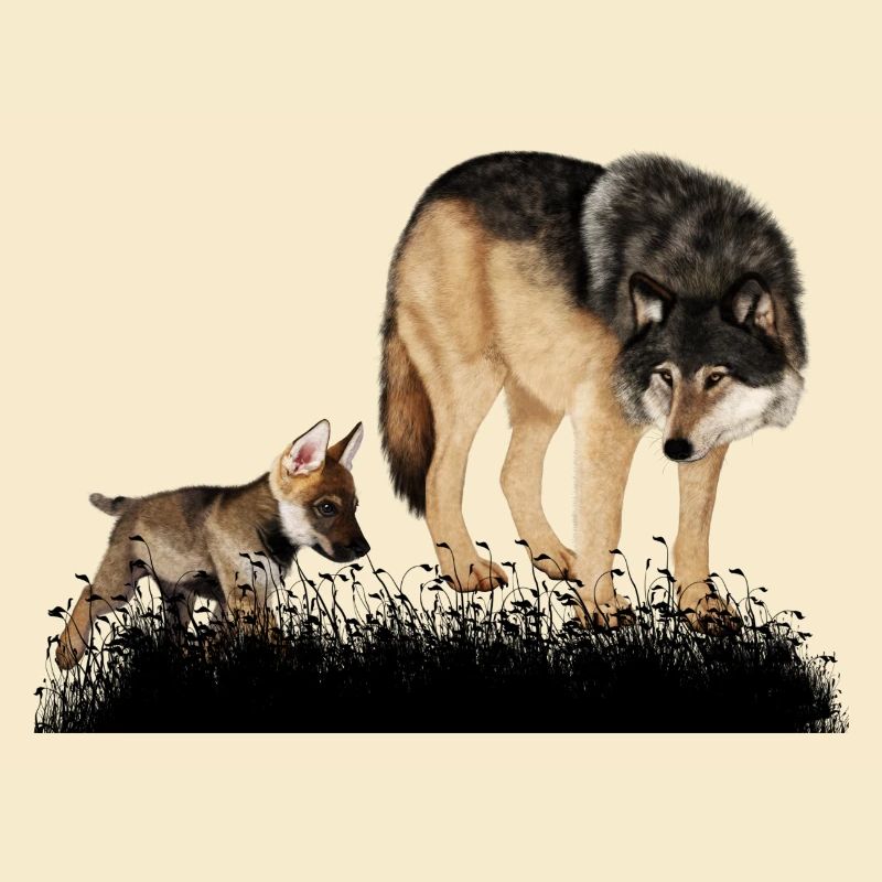Mit dem Bär im Wald umwerfender Wolf