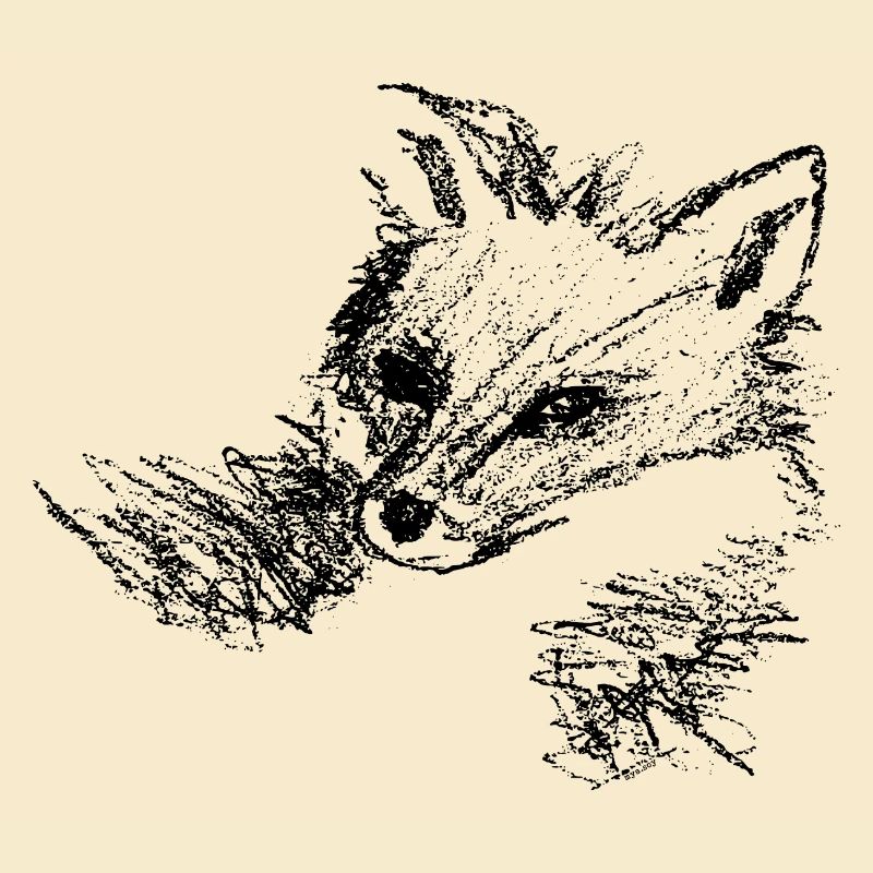 Fuchs