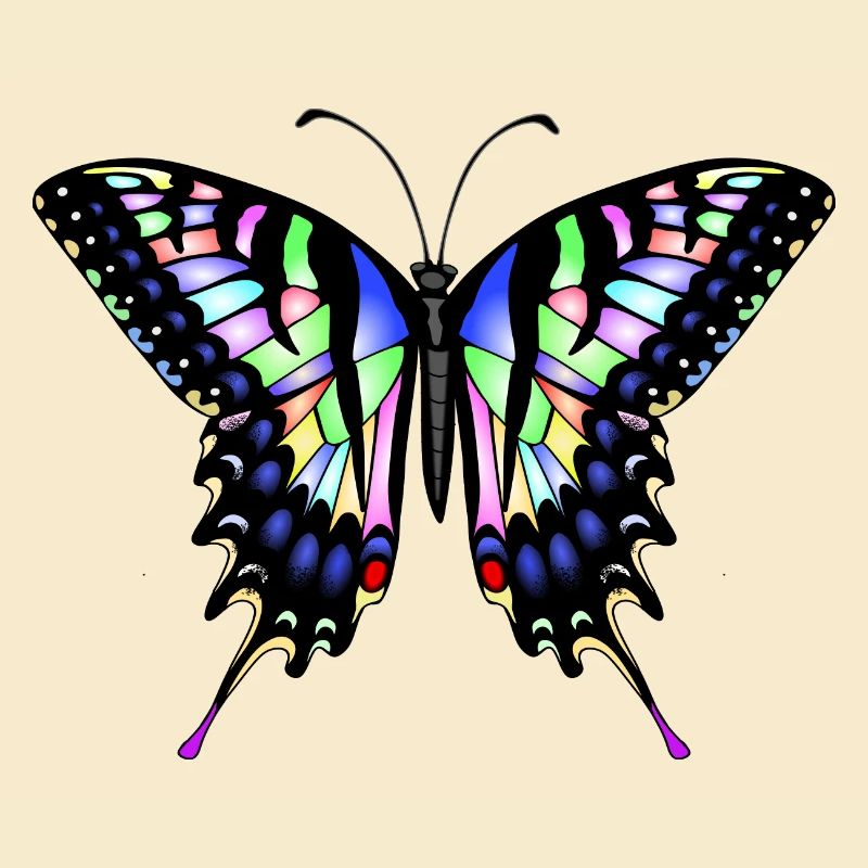 Dovetail Butterfly
