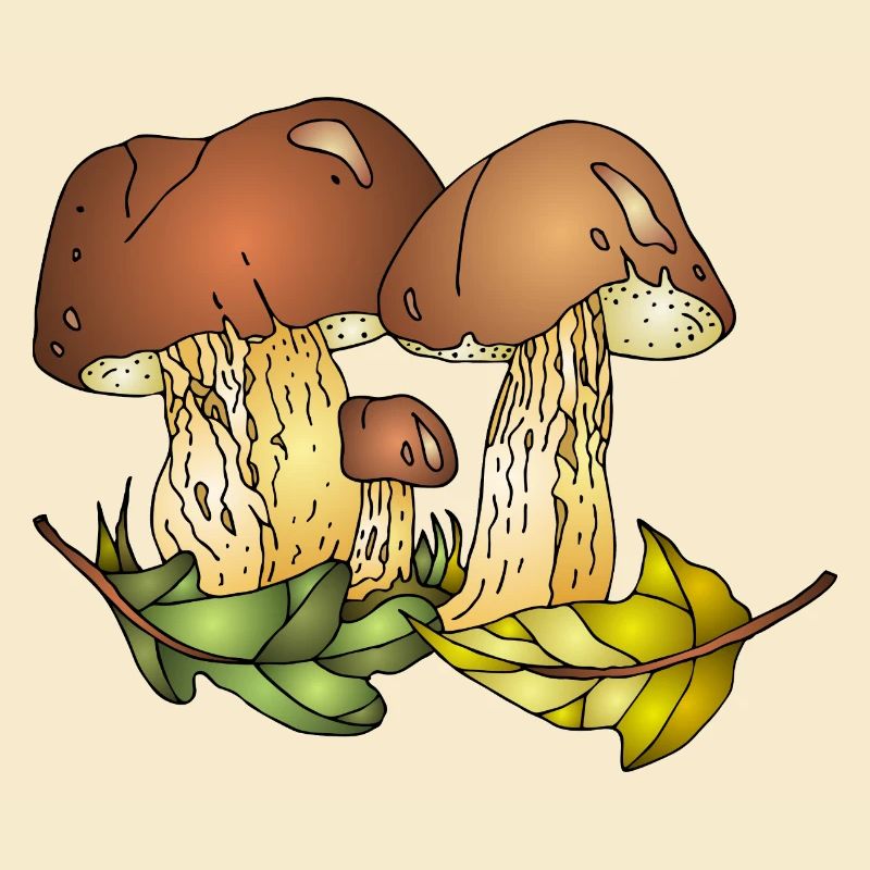 Fungi