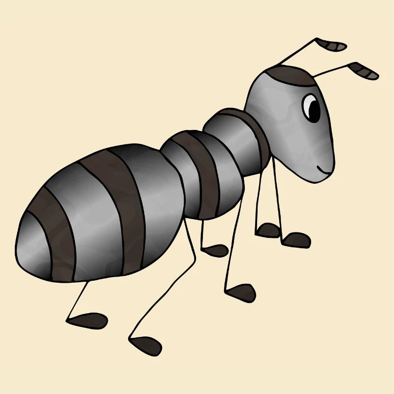 Ant