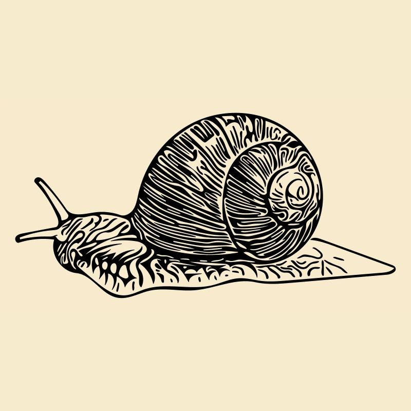 escargot