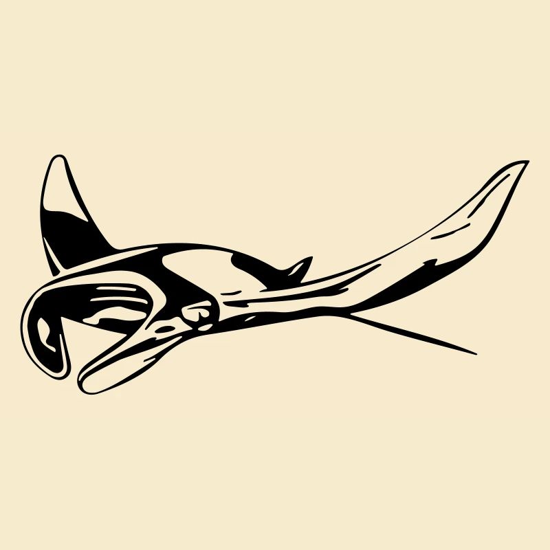Manta Rochen