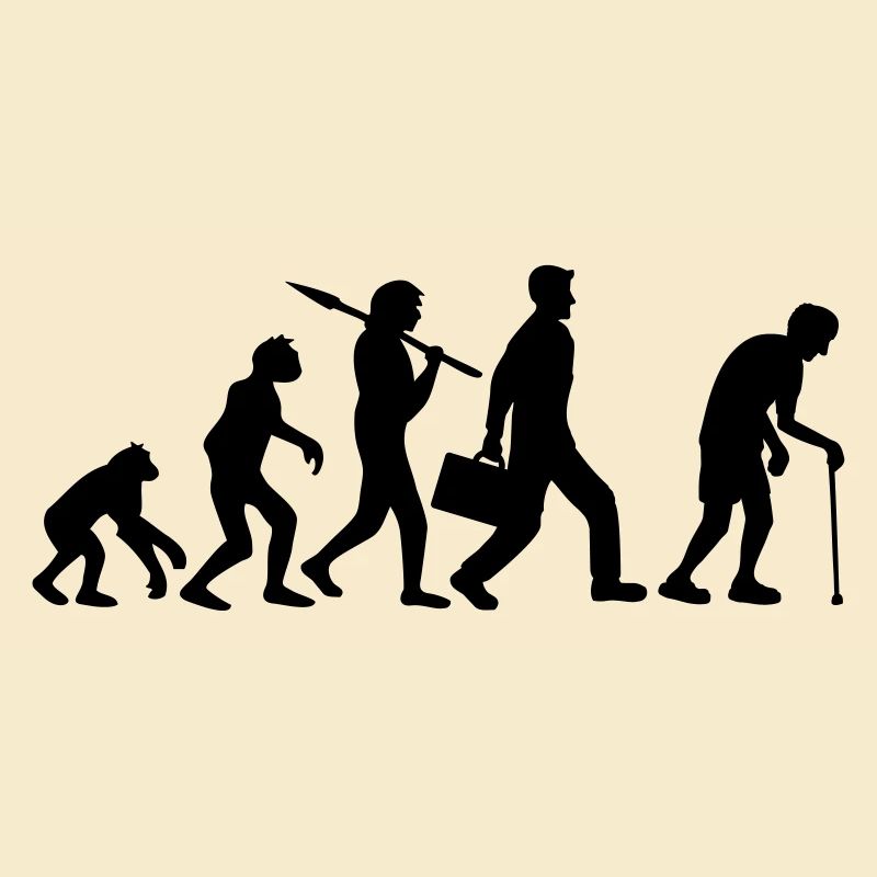 Evolution Opa Design