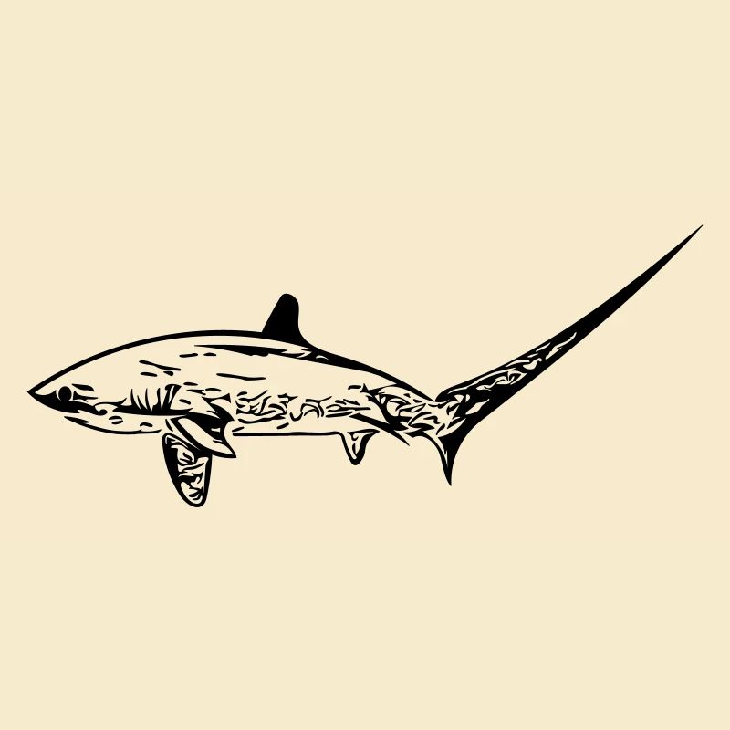Requin renard élégant