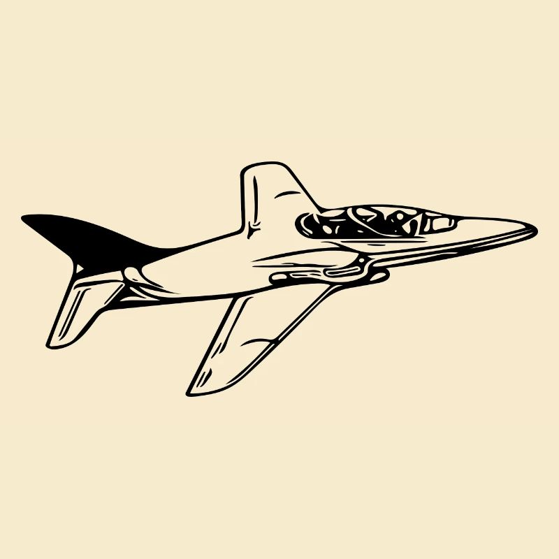 Jet Flugzeug Flieger