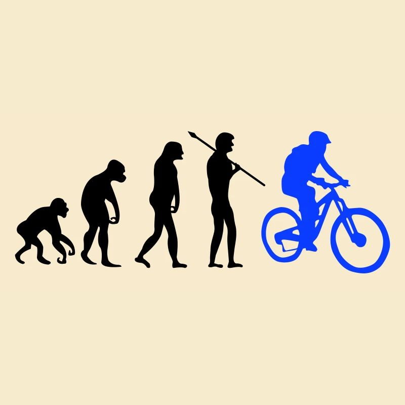 Évolution des motards