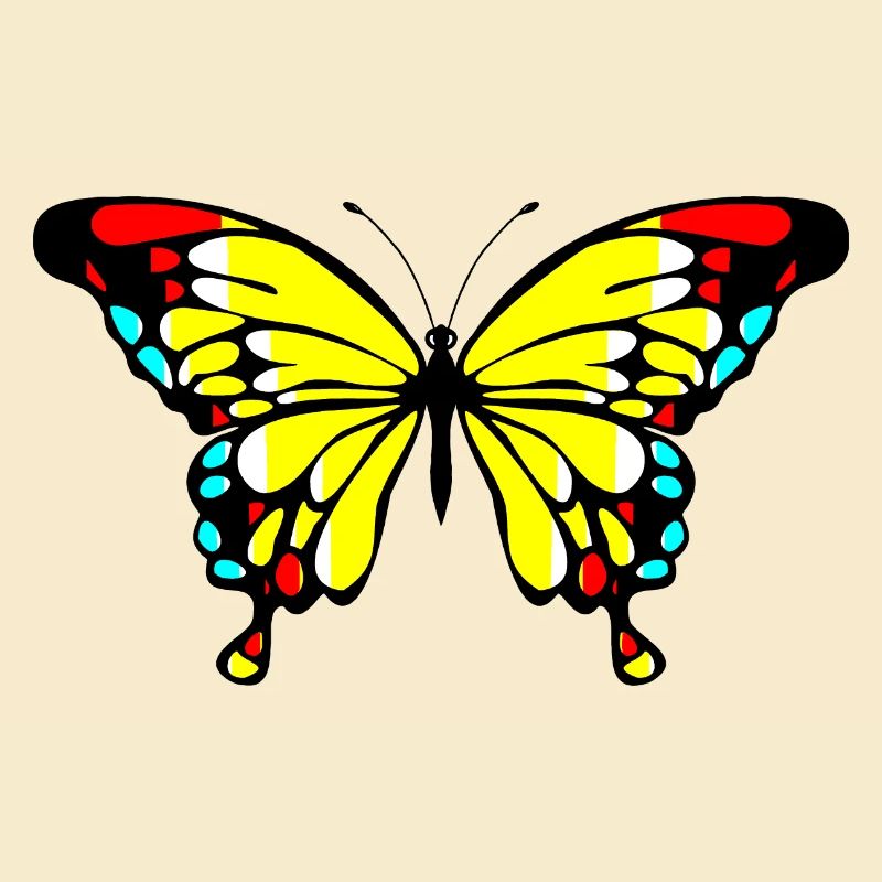 Papillon