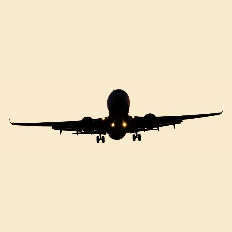 Flugzeug wird landen
