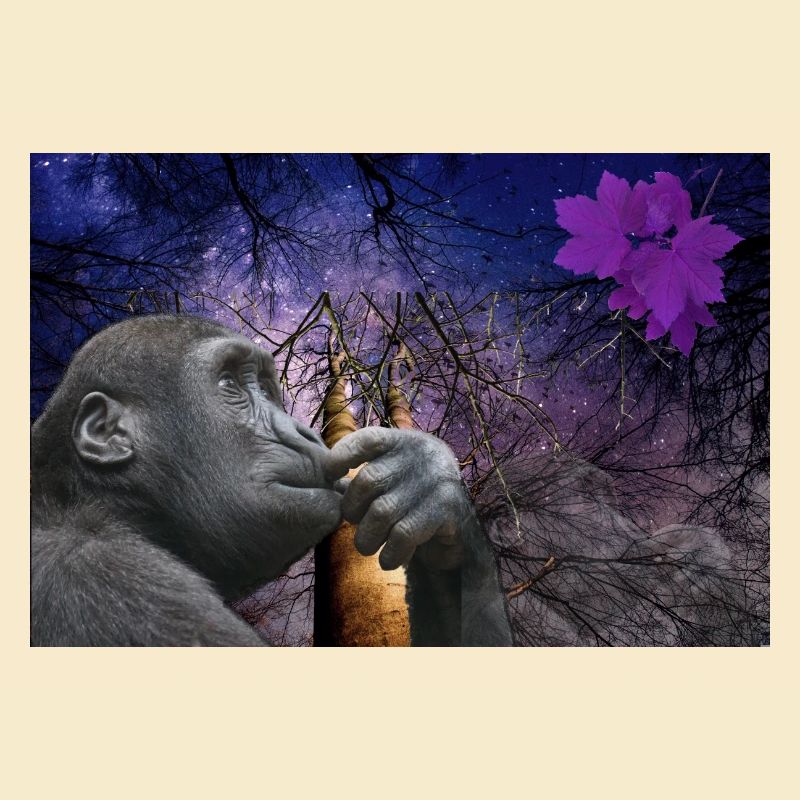 Monkey.