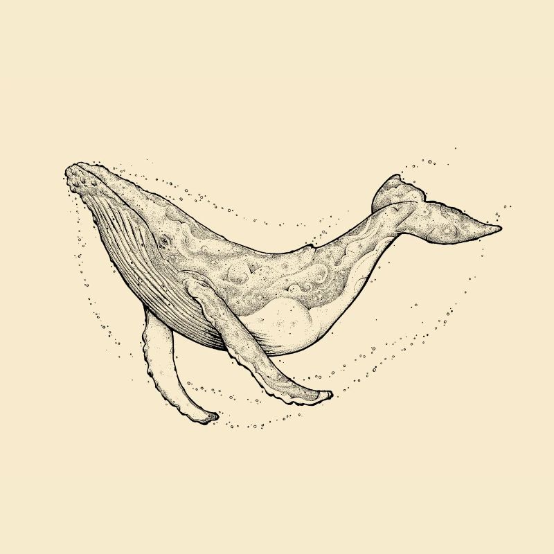 Humpback whale