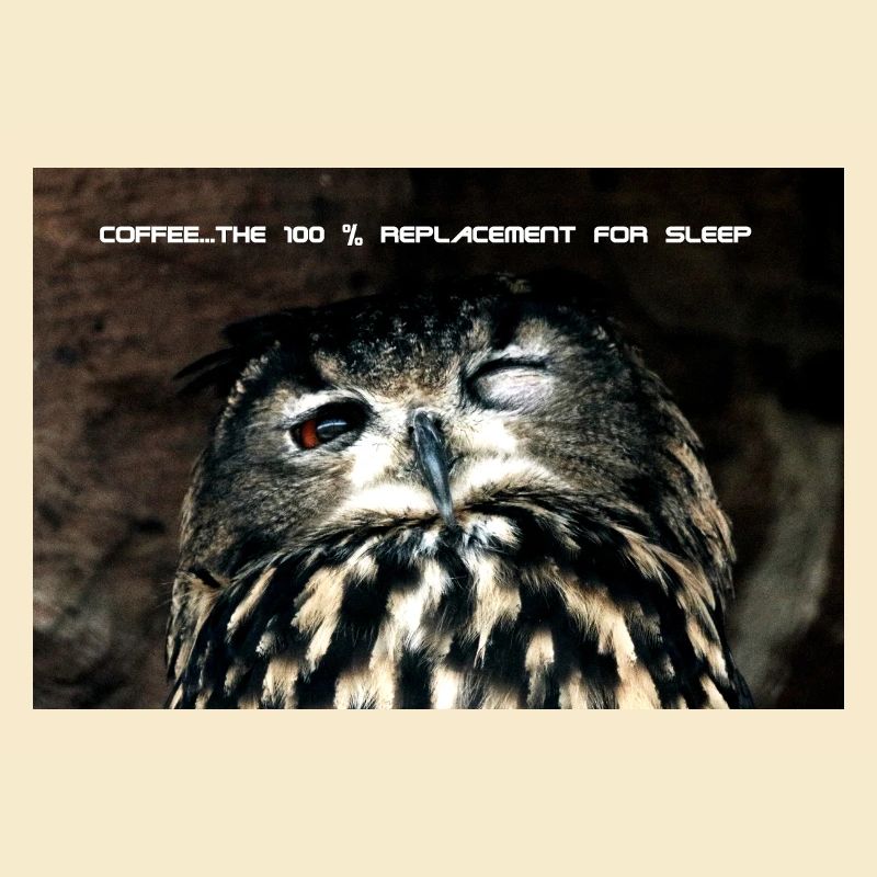 Eule, 100% replacement for coffee