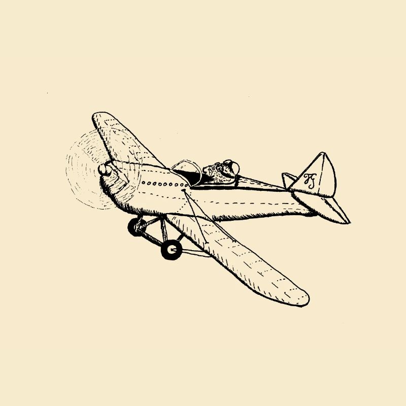 Whisker pilot