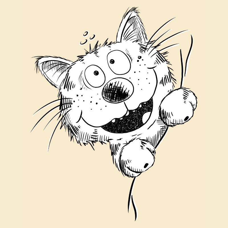 Funny cat laughs