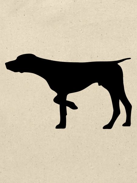 Jagdhund Deutsch Kurzhaar