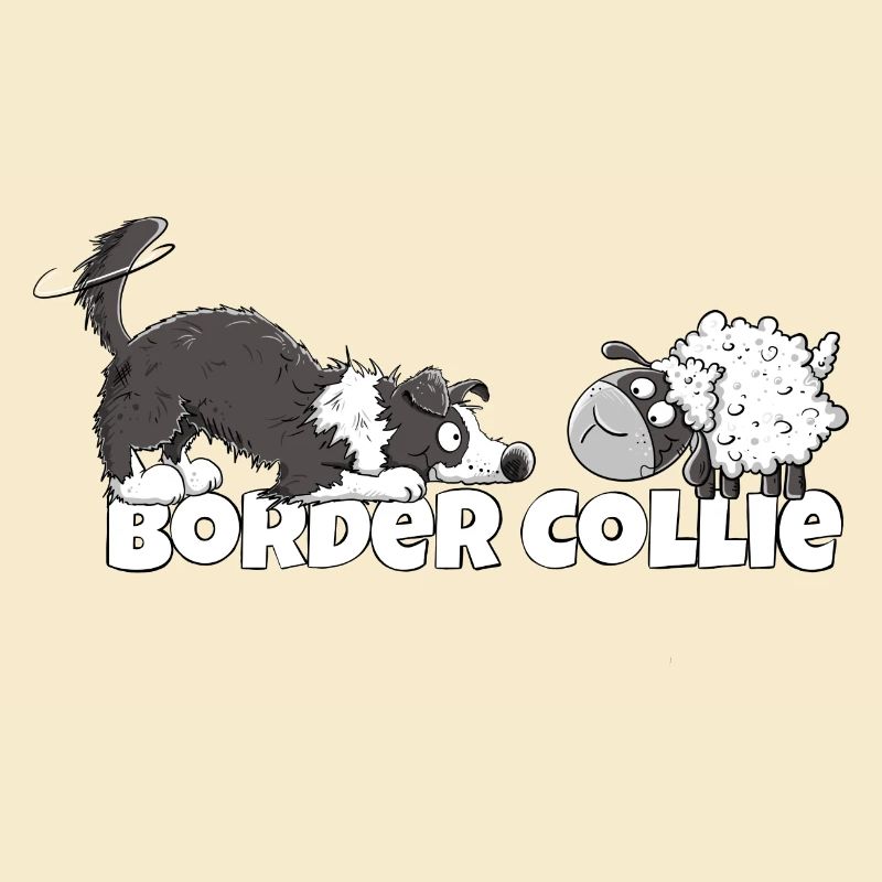 Border Collie And Sheep I Herding Dog Dog Fun