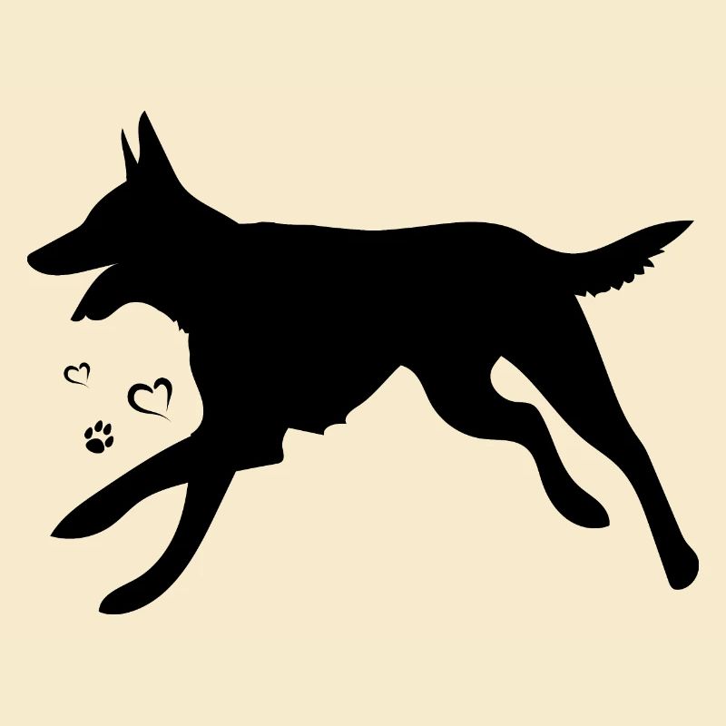 Belgian Malinois Shepherd Dog