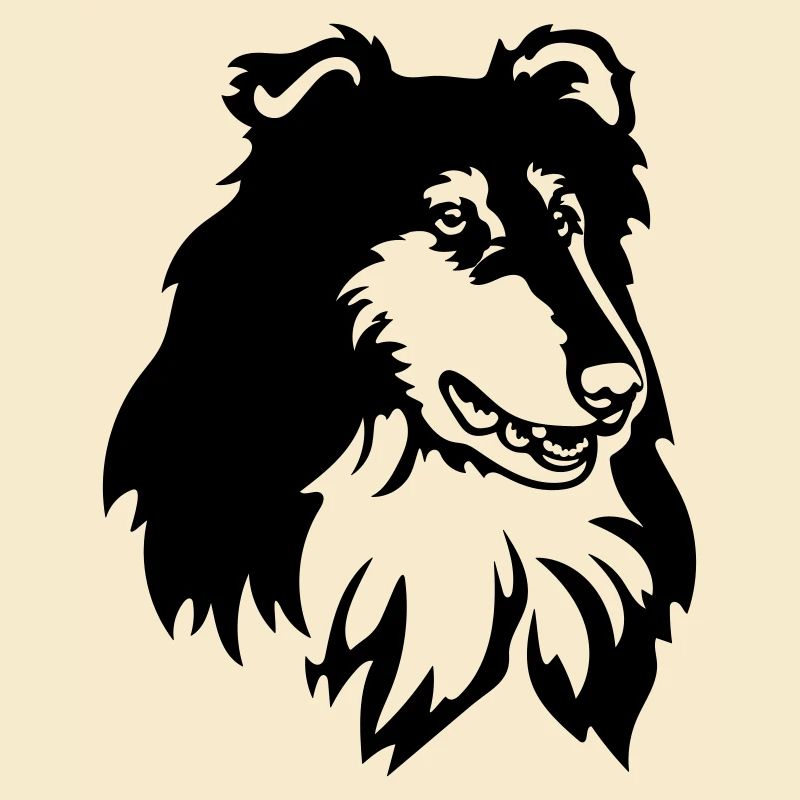 Collie Kopf