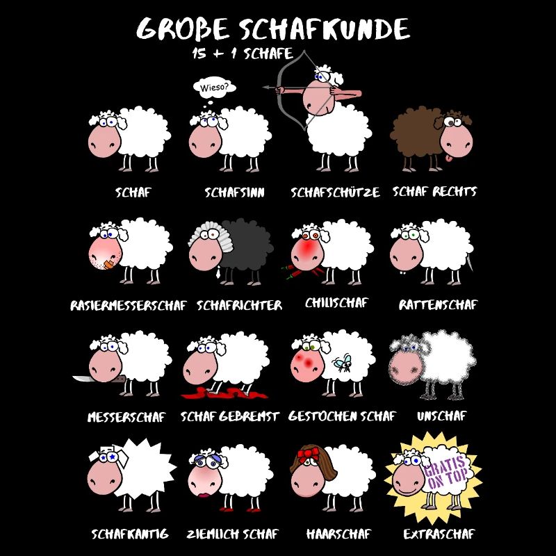 Great sheep knowledge