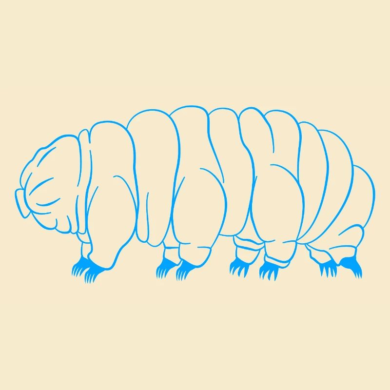 Tardigrade Tardigrade Water Bear Tardigrade