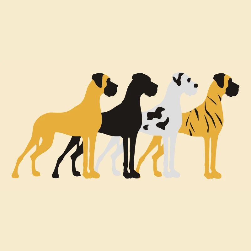 Four basic colors Great Dane