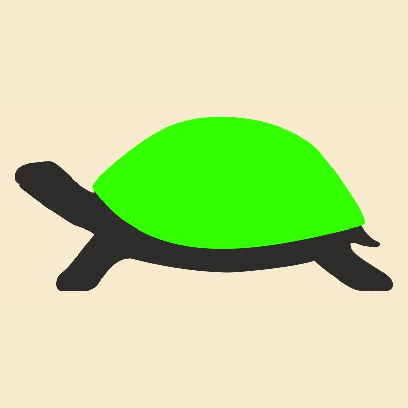 Drawn Turtle