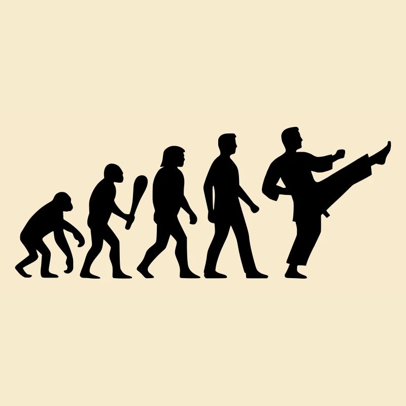 Karate Evolution