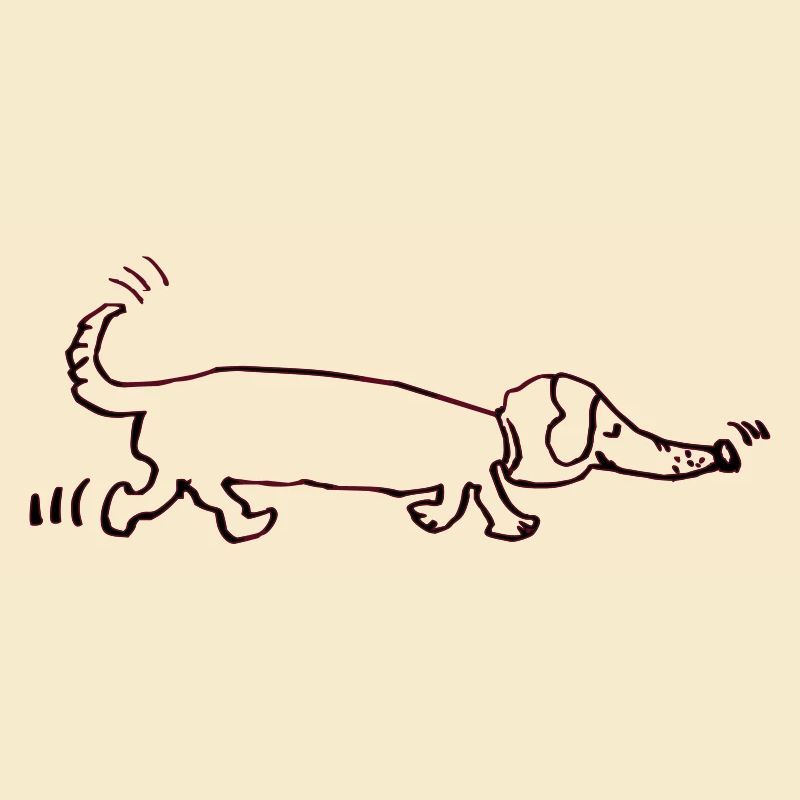 drôle teckel, teckel, chien, teckel