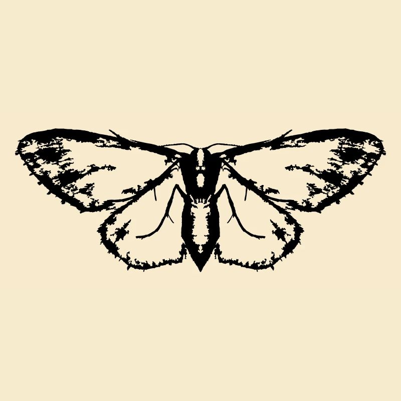 Papillon / Papillon / Papillon