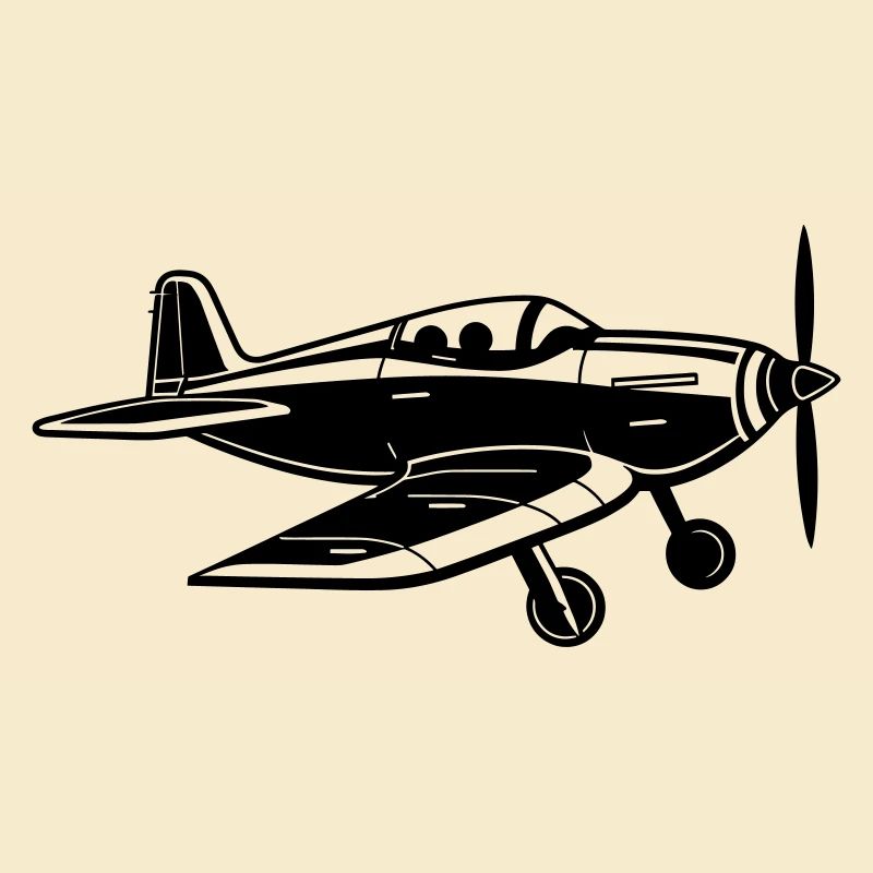 Avion de chasse