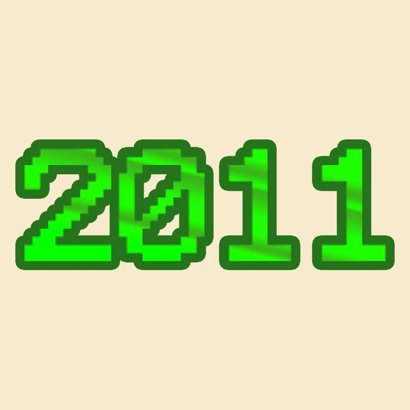Computer 2011