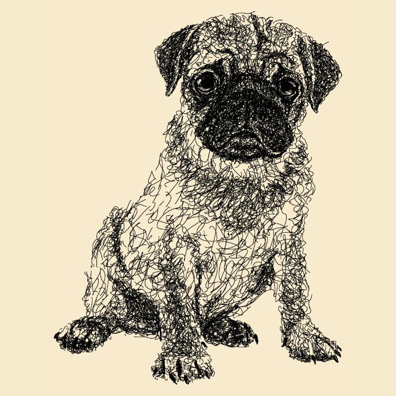 Mops