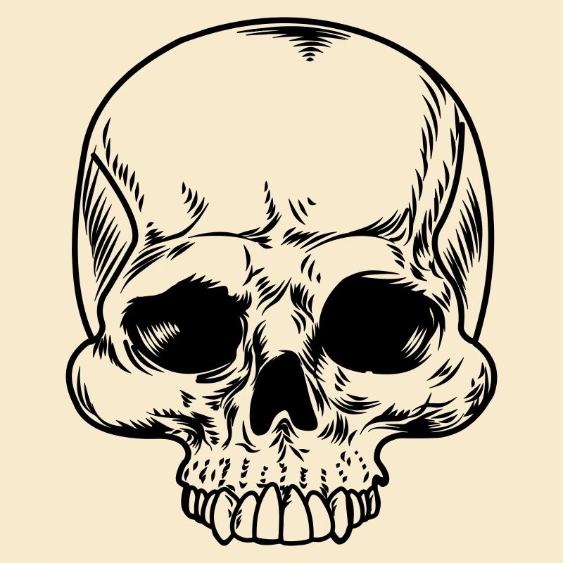 Skull transparent