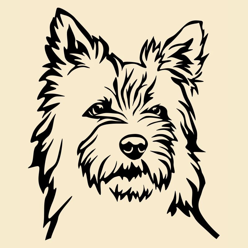 Cairn Terrier