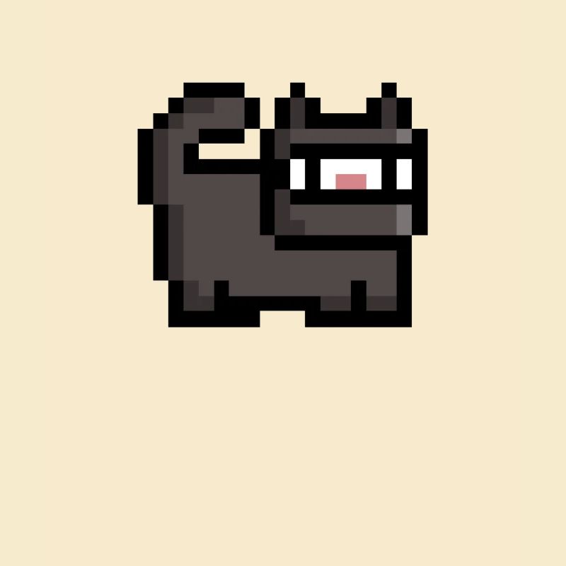 Retro Ninja Cat