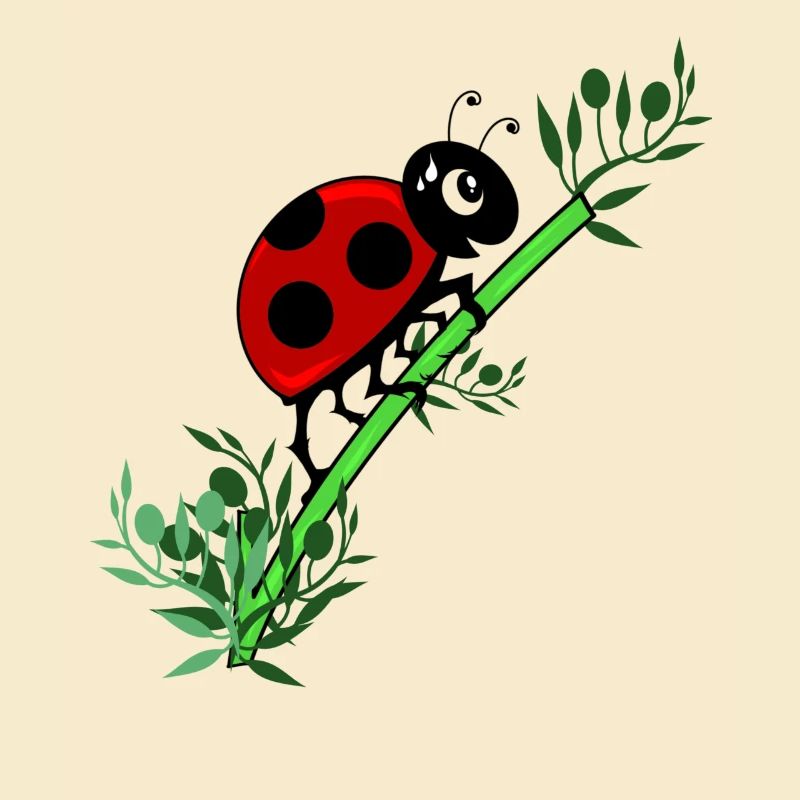 Ladybug botany
