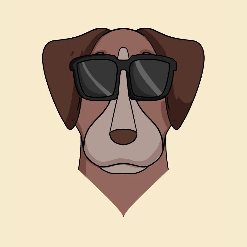 Pointer Hund Hunderasse