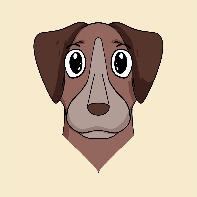 Pointer Hund Hunderasse