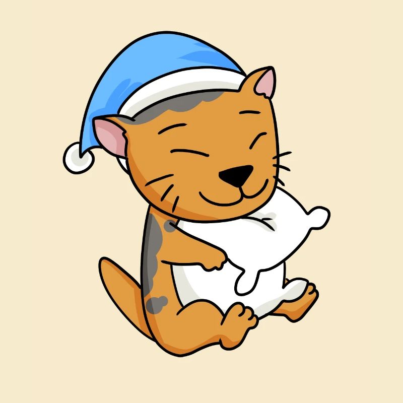 Cat Cat Breed Scottish Folding Ear Cat