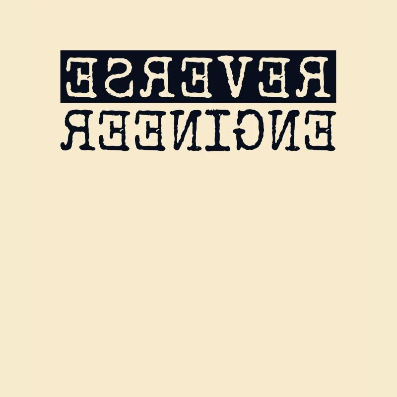 Reverse Engineer Softwareingenieur Developer