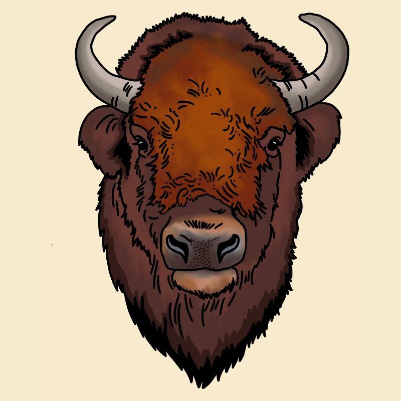Bison head