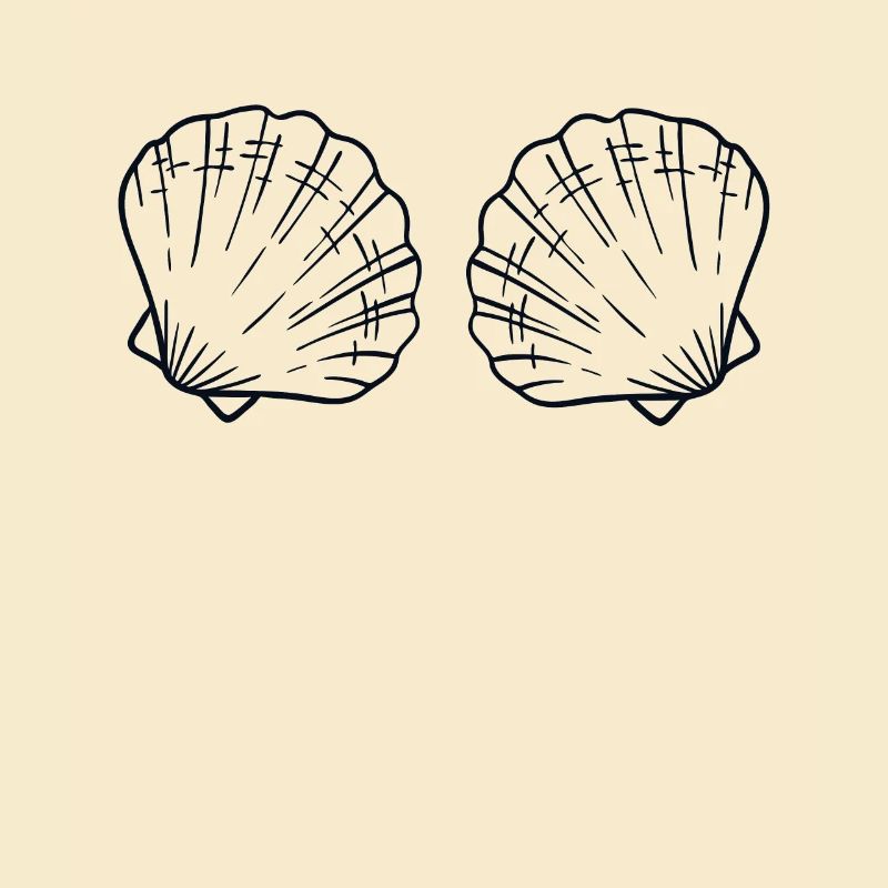 Seashell Bra BH Shell Shelling Bag Seashell