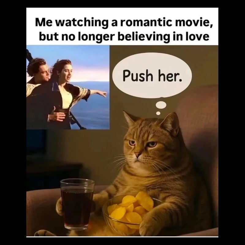 Cat Meme Push Romance