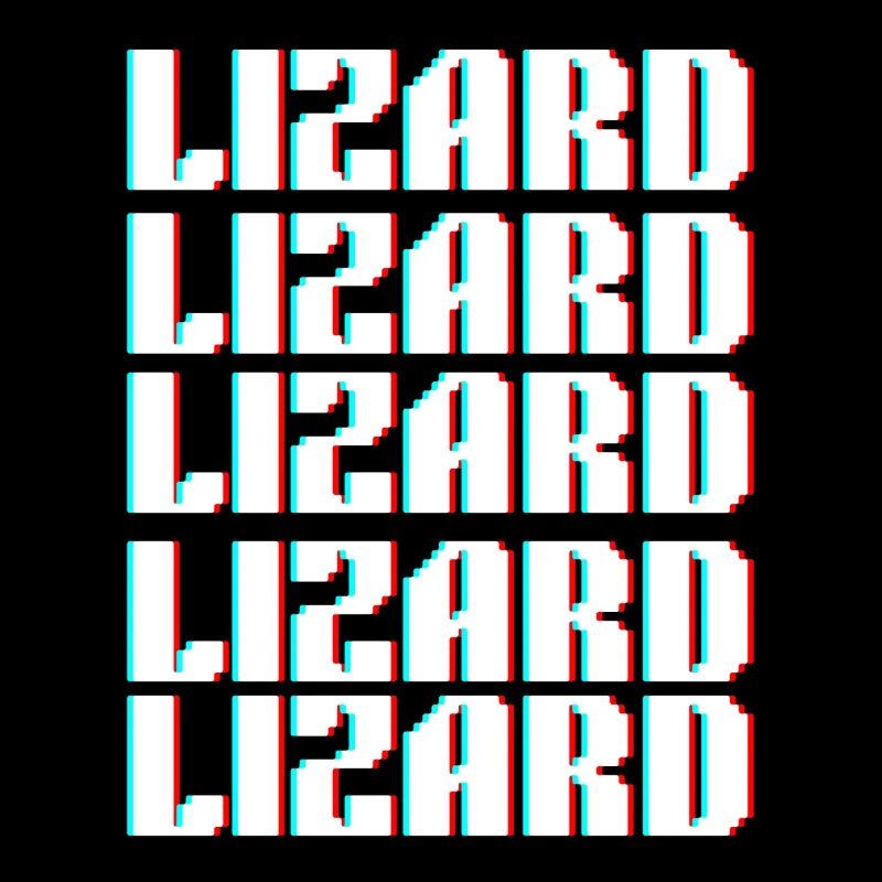 lizard 