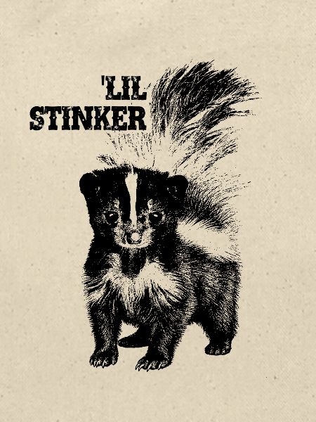 Lil Stinker - Kleiner Stinker