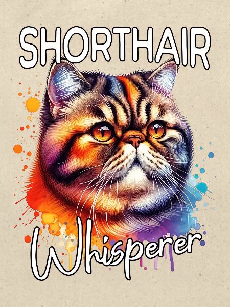 Exotische Kurzhaarkatze Flüsterer