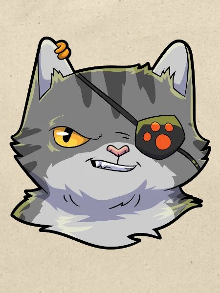 Katze Pirat