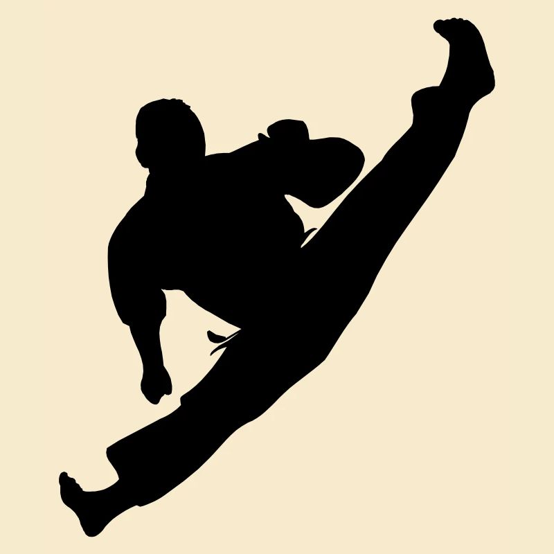 Jumpkick geri kick karate or teakwondo
