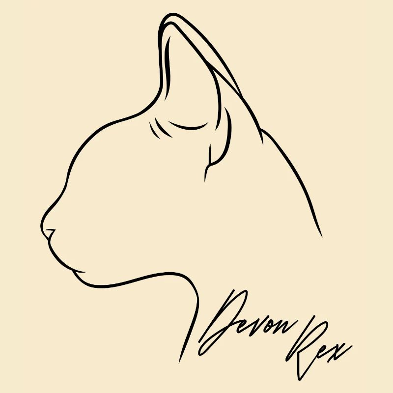 Devon Rex Profil Katzen Katze Wilsigns